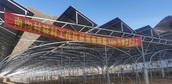 0d13577400f3cae63184bfcb044c15e