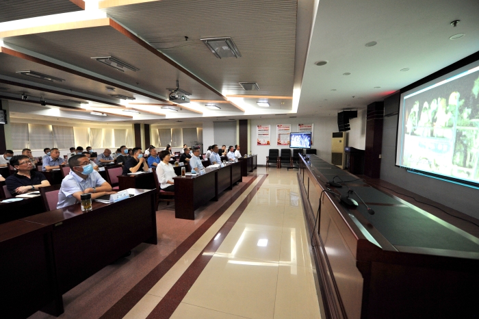 观看生命重于泰山1