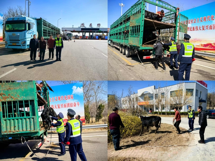 微信图片_20250320090600