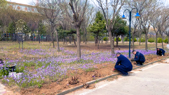 D:\2025年办公\2025宣传\四月\站貌2