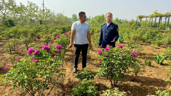 D:\2025年办公\2025宣传\四月\牡丹园1