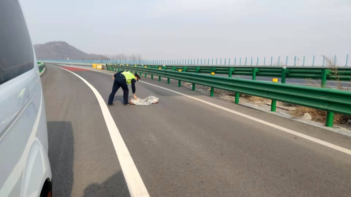 IMG_9731(20210215-095610)