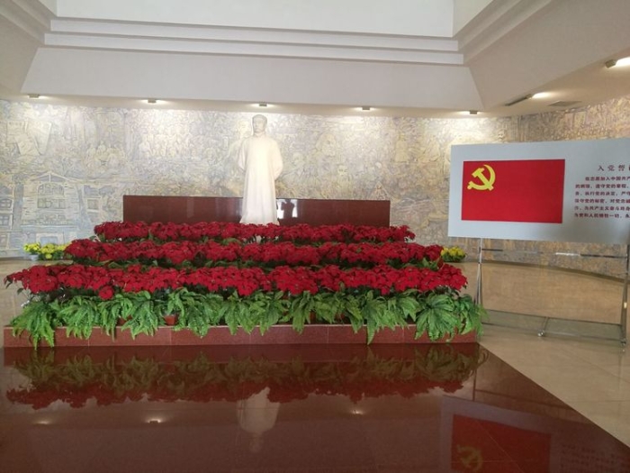 047dfd6b1c4749088e5508a49312b7ad