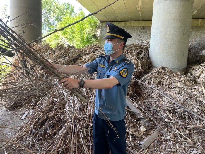 mmexport1622612069697