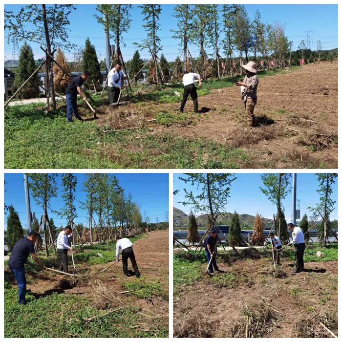 mmexport1623051908441