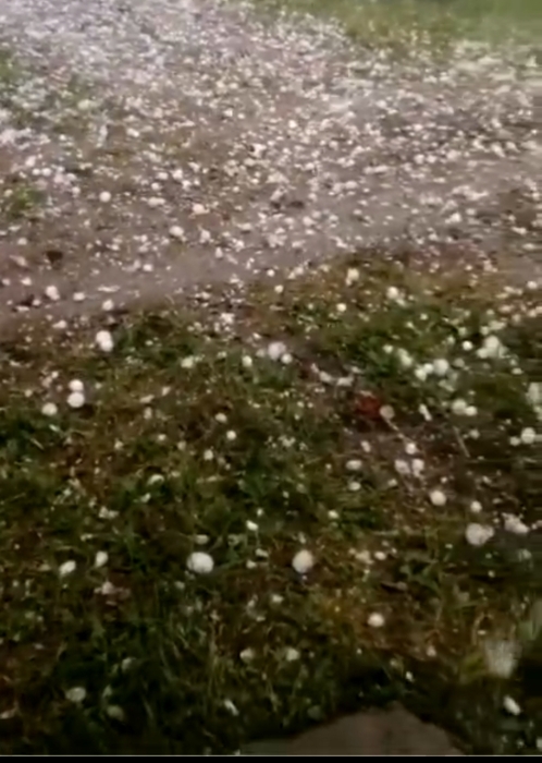 QQ图片20210626111934