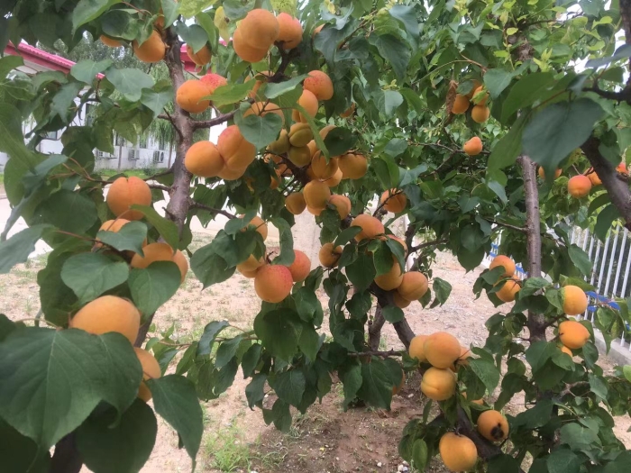 43eee0fb76c628c1b31fdacd625d4a3