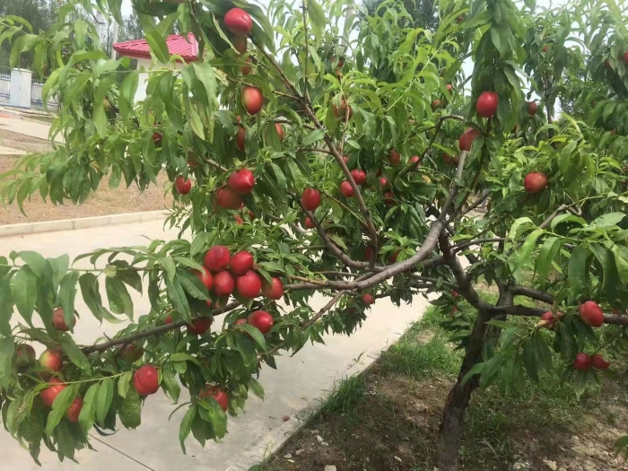 c8e0318ad7d300cfaa9b6fe1dc62eb6