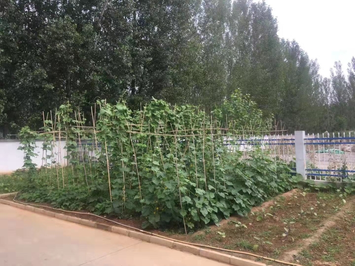 28c077c4c59946df389d79f375e10d5