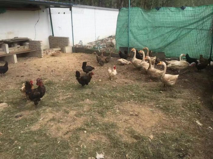 01ea6da7255587331f9f6f963f78033