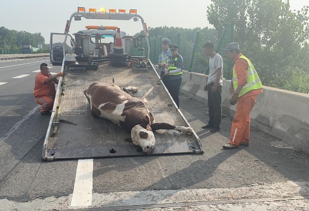 QQ截图20210702084228