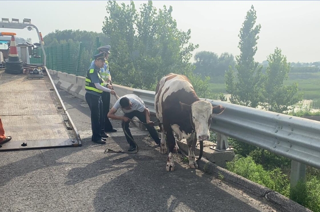 QQ截图20210702083432