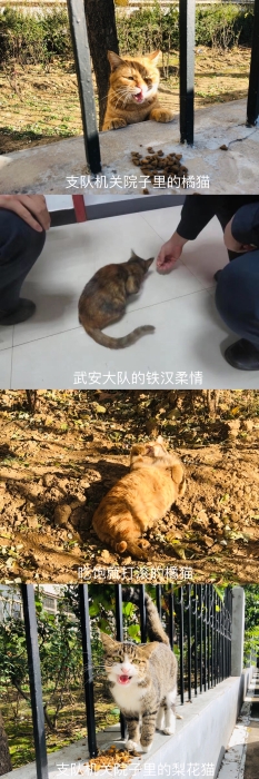 IMG_9867(20211124-102333)