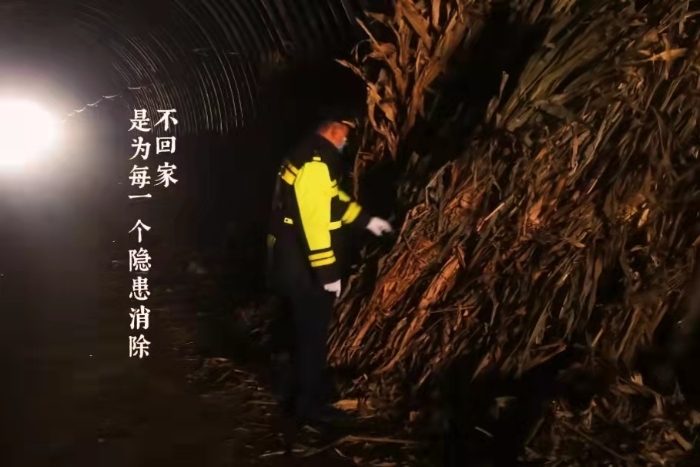 春节不会家1 春节不会家1